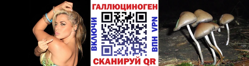 дарнет шоп  Эртиль  OMG ссылки  Галлюциногенные грибы MAGIC MUSHROOMS 